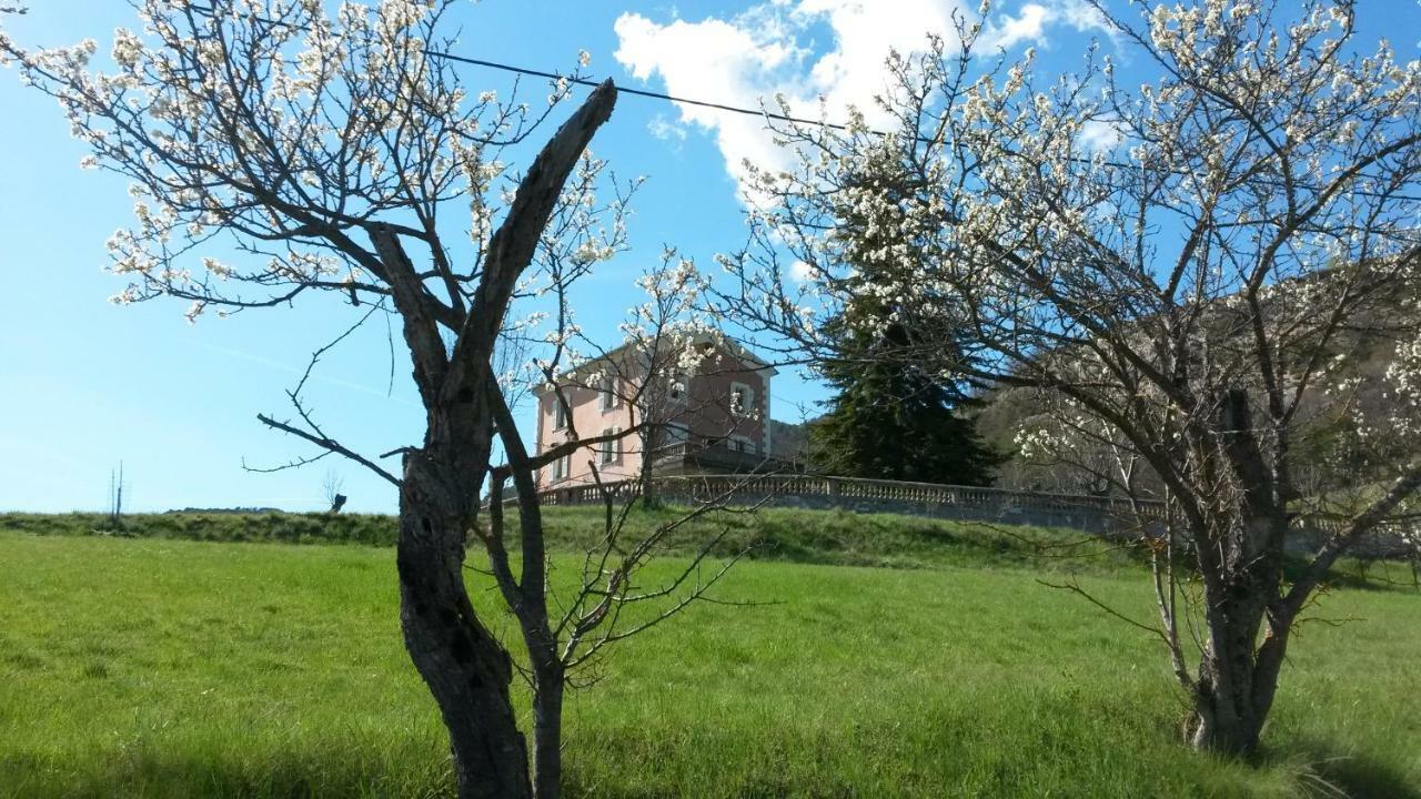 La Villa Du Collet La Penne Extérieur photo